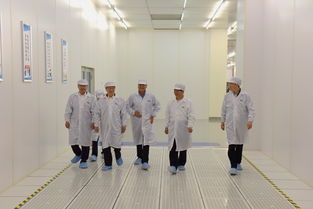 陳清泰調研長江存儲與武漢新芯，共話中國芯片產業(yè)發(fā)展